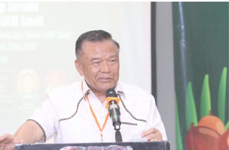 Ket. Fot : Ketua Umum Dewan Minyak Sawit Indonesia (DMSI), Sahat Sinaga. 
