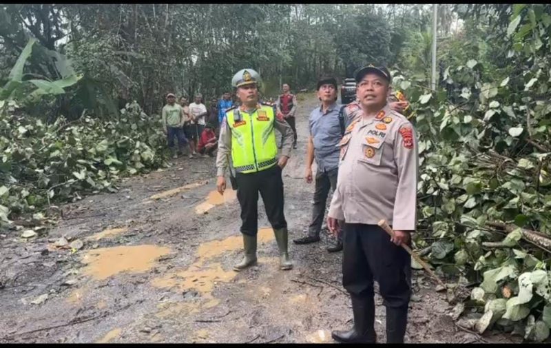 Ket. Foto : Kapolres Way Kanan AKBP Didik Kurnianto, S. I. K, Pimpin Langsung Bersihkan Pohon Tumbang di Ruas Jalan. 