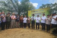 Ket. Foto : Pelepasan tiga spesies serangga penyerbuk asal Tanzania di Kebun PPKS Marihat, Sumatera Utara, Kamis (09/04/2026). (Foto: dok. Kementan)