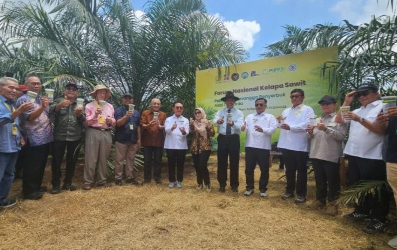 Ket. Foto : Pelepasan tiga spesies serangga penyerbuk asal Tanzania di Kebun PPKS Marihat, Sumatera Utara, Kamis (09/04/2026). (Foto: dok. Kementan)