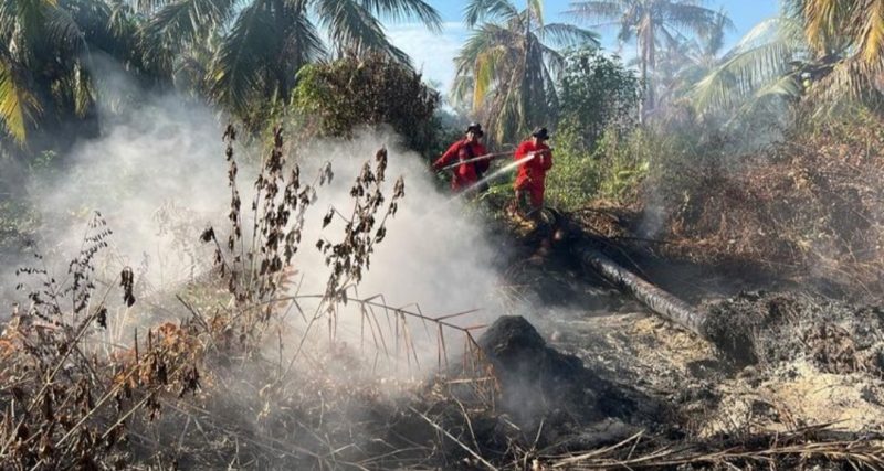 Keterangan Foto: Tim Manggala Agni Kementerian Kehutanan memadamkan kebakaran hutan dan lahan di Provinsi Riau. (dok.ist) 