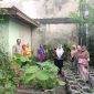 Keterangan Foto: Aiptu Darjo Kenedy, Bhabinkamtibmas Kelurahan Tangkerang Selatan, tengah menyambangi kebun Kelompok Wanita Tani (KWT) Mekar Sari. (dok.Polsek) 