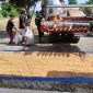 Keterangan foto : Penjemuran jagung pipil pasca-panen raya yang digelar Kelompok Tani (Poktan) Bina Tani Sejahtera.