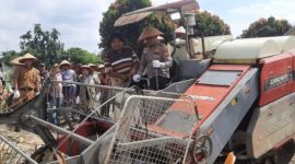 Keterangan Foto: Karo SDM Polda Riau, Kombes Pol. Dr. Boy Jeckson Situmorang, S.H., S.I.K., M.H., saat memimpin panen raya jagung pipil kuartal II menggunakan mesin combine di kompleks UPT Pelatihan dan Penyuluhan Pertanian, Jalan Kaharuddin Nasution.(dok.ist) 