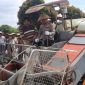 Keterangan Foto: Karo SDM Polda Riau, Kombes Pol. Dr. Boy Jeckson Situmorang, S.H., S.I.K., M.H., saat memimpin panen raya jagung pipil kuartal II menggunakan mesin combine di kompleks UPT Pelatihan dan Penyuluhan Pertanian, Jalan Kaharuddin Nasution.(dok.ist) 