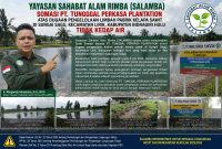 Keterangan Foto: Tangkap layar hasil investigasi Yayasan Sahabat Alam Rimba (SALAMBA) yang menunjukkan kolam limbah PT Tunggal Perkasa Plantation di Desa Sungai Sagu, Kecamatan Lirik, diduga tidak dilengkapi sistem kedap air sehingga berpotensi mencemari lahan dan lingkungan sekitarnya. (dok.ist)
