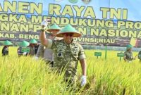 Keterangan Foto: Kasdam XIX/Tuanku Tambusai, Brigjen TNI Rudi Hermawan, memimpin langsung Panen Raya TNI di Desa Sepotong, Kecamatan Siak Kecil, Kabupaten Bengkalis, sebagai wujud dukungan terhadap Program Ketahanan Pangan Nasional.