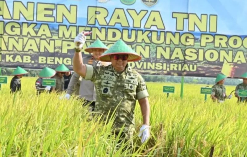 Keterangan Foto: Kasdam XIX/Tuanku Tambusai, Brigjen TNI Rudi Hermawan, memimpin langsung Panen Raya TNI di Desa Sepotong, Kecamatan Siak Kecil, Kabupaten Bengkalis, sebagai wujud dukungan terhadap Program Ketahanan Pangan Nasional.