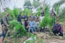 Keterangan Foto: Satresnarkoba Polres Langsa saat mengamankan puluhan batang tanaman ganja hasil pengungkapan di perkebunan sawit Gampong Krueng Lingka, Kecamatan Sungai Raya, Kabupaten Aceh Timur, Sabtu (25/7/2026).