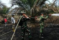 Keterangan foto: Personel TNI dari Babinsa Koramil 04/Pkl Kuras sedang memadamkan api di lahan terbakar kawasan Toro Jaya. 