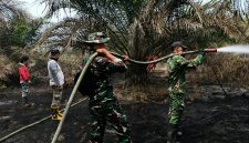 Keterangan foto: Personel TNI dari Babinsa Koramil 04/Pkl Kuras sedang memadamkan api di lahan terbakar kawasan Toro Jaya. 