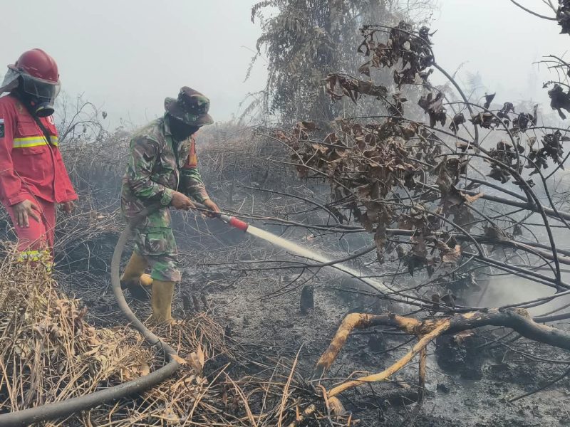Keterangan Foto: Anggota Koramil 07-0313/KPR bersama unsur Polri, Manggala Agni, dan BPBD melakukan pemadaman dan pendinginan untuk memastikan bara api tidak kembali menyala di lokasi kebakaran.