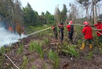 Keterangan Foto: Personel TNI dari Kodam XIX Tuanku Tambusai bersama tim gabungan berjibaku memadamkan api di lahan gambut Hutan GSK, Bengkalis. 