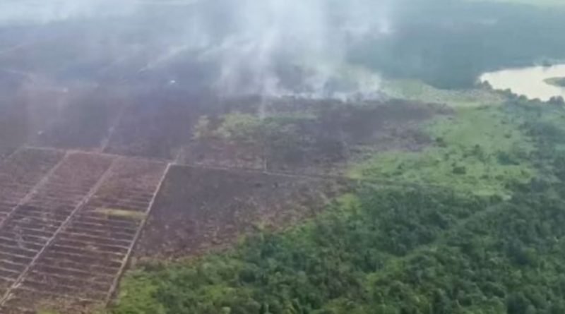 Keterangan foto: Foto udara saat Kapolda Riau memantau sejumlah titik api di Pelalawan. (dok.ist) 