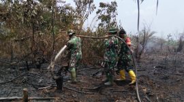 Keterangan foto: Personel Kodim 0303/Bengkalis bersama tim terpadu terus memperkuat penanggulangan kebakaran hutan dan lahan (Karhutla) di delapan titik wilayah Kabupaten Bengkalis dan Kepulauan Meranti.(dok.ist) 