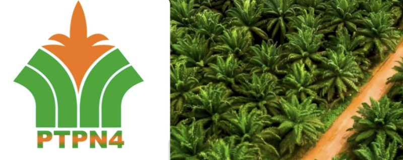 Keterangan foto: Ilustrasi Logo PTPN IV dan Kebun Sawit.
