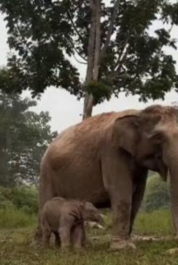 berita-rekomendasi-foto
