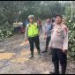 Ket. Foto : Kapolres Way Kanan AKBP Didik Kurnianto, S. I. K, Pimpin Langsung Bersihkan Pohon Tumbang di Ruas Jalan. 