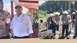 Kapolres Kampar, AKBP Boby Putra Ramadhan S., S.I.K., M.H., bersama Ketua Umum LCI, Sunggul Manalu, dalam kegiatan Penanaman Jagung Kuartal II di lahan Koperasi Produsen Petani Sawit Makmur (KOPPSA-M), Desa Pangkalan Baru, Kecamatan Siak Hulu. 
