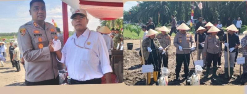 Kapolres Kampar, AKBP Boby Putra Ramadhan S., S.I.K., M.H., bersama Ketua Umum LCI, Sunggul Manalu, dalam kegiatan Penanaman Jagung Kuartal II di lahan Koperasi Produsen Petani Sawit Makmur (KOPPSA-M), Desa Pangkalan Baru, Kecamatan Siak Hulu. 
