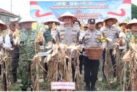 Keterangan foto : Wakapolda Riau Brigjen Pol Hengki Haryadi, saat Panen Raya Jagung Serentak Kuartal II Tahun 2026, di Pekanbaru (dok.ist) 
