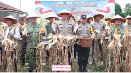 Keterangan foto : Wakapolda Riau Brigjen Pol Hengki Haryadi, saat Panen Raya Jagung Serentak Kuartal II Tahun 2026, di Pekanbaru (dok.ist) 
