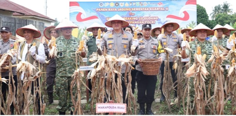 Keterangan foto : Wakapolda Riau Brigjen Pol Hengki Haryadi, saat Panen Raya Jagung Serentak Kuartal II Tahun 2026, di Pekanbaru (dok.ist) 
