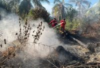 Keterangan Foto: Tim Manggala Agni Kementerian Kehutanan memadamkan kebakaran hutan dan lahan di Provinsi Riau. (dok.ist) 