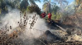 Keterangan Foto: Tim Manggala Agni Kementerian Kehutanan memadamkan kebakaran hutan dan lahan di Provinsi Riau. (dok.ist) 