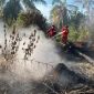 Keterangan Foto: Tim Manggala Agni Kementerian Kehutanan memadamkan kebakaran hutan dan lahan di Provinsi Riau. (dok.ist) 