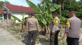 Keterangan foto : Kanit Binmas Polsek Bukit Raya, Iptu Kamra Junaedy, bersama Panit I Binmas Aiptu Herwin dan Bhabinkamtibmas Kelurahan Perhentian Marpoyan, Aipda Jhons Putera, melakukan edukasi pemanfaatan lahan pekarangan. 