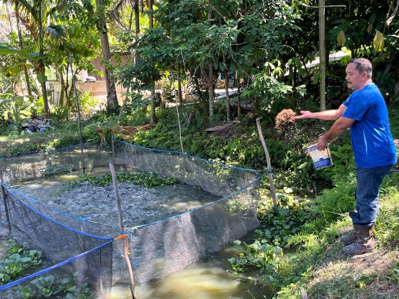 Keterangan Foto: Seorang warga sekaligus anggota Pokdakan Jaya Bersama tengah memberi pakan ikan lele di kolam budidaya Kelurahan Minas Jaya, Siak.(dok.PHR) 