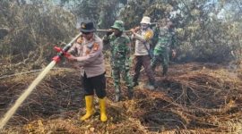 Keterangan Foto: Kapolsek Rupat AKP Faisal SH bersama TNI dan tim gabungan tampak berupaya memadamkan api Karhutla di wilayah Kelurahan Tanjung Kapal, Kecamatan Rupat, Kabupaten Bengkalis.(dok.ist) 