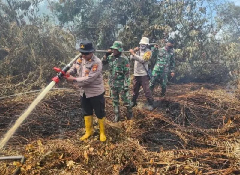 Keterangan Foto: Kapolsek Rupat AKP Faisal SH bersama TNI dan tim gabungan tampak berupaya memadamkan api Karhutla di wilayah Kelurahan Tanjung Kapal, Kecamatan Rupat, Kabupaten Bengkalis.(dok.ist) 