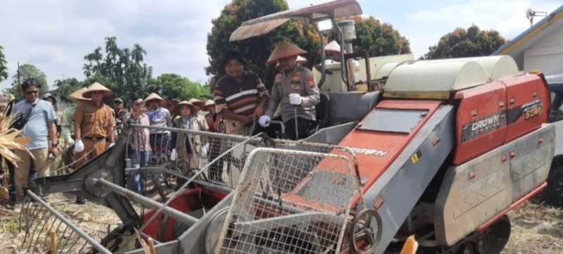 Keterangan Foto: Karo SDM Polda Riau, Kombes Pol. Dr. Boy Jeckson Situmorang, S.H., S.I.K., M.H., saat memimpin panen raya jagung pipil kuartal II menggunakan mesin combine di kompleks UPT Pelatihan dan Penyuluhan Pertanian, Jalan Kaharuddin Nasution.(dok.ist) 