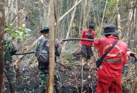 Keterangan foto : Tim gabungan TNI, Polri, BPBD, dan Manggala Agni terus memadamkan kebakaran hutan dan lahan di Desa Sungai Guntung Hilir, Inhu, Selasa (1/9/2026). (dok.ist)