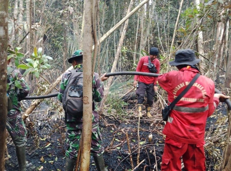 Keterangan foto : Tim gabungan TNI, Polri, BPBD, dan Manggala Agni terus memadamkan kebakaran hutan dan lahan di Desa Sungai Guntung Hilir, Inhu, Selasa (1/9/2026). (dok.ist) 