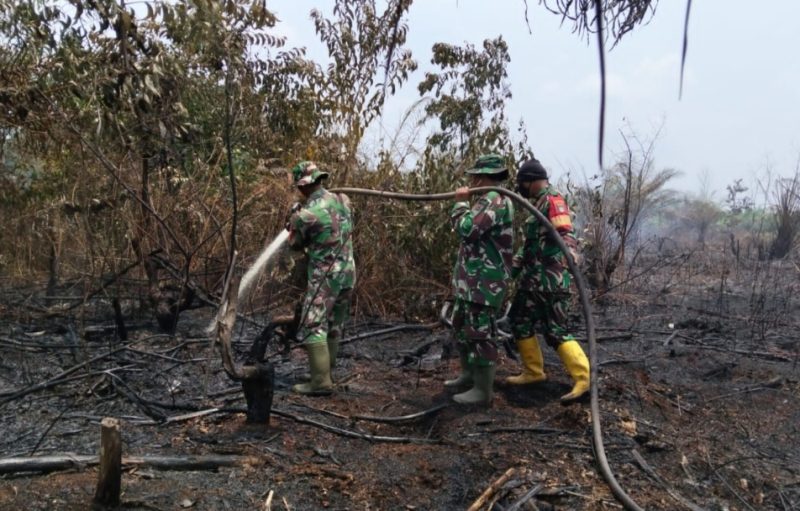 Keterangan foto: Personel Kodim 0303/Bengkalis bersama tim terpadu terus memperkuat penanggulangan kebakaran hutan dan lahan (Karhutla) di delapan titik wilayah Kabupaten Bengkalis dan Kepulauan Meranti.(dok.ist) 